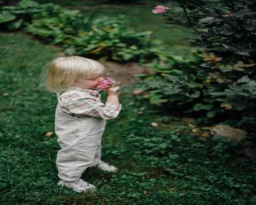 大连试管婴儿医院排名及费用成功率详情