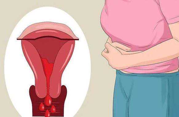 国内试管借卵代生与一代移植囊胚数量解析