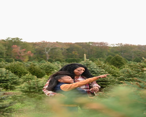 南方医院赣州医院生殖医学科阴道内镜技术助孕罕见生殖道畸形患者