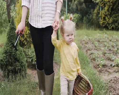 三孩时代高龄夫妻备孕指南与注意事项